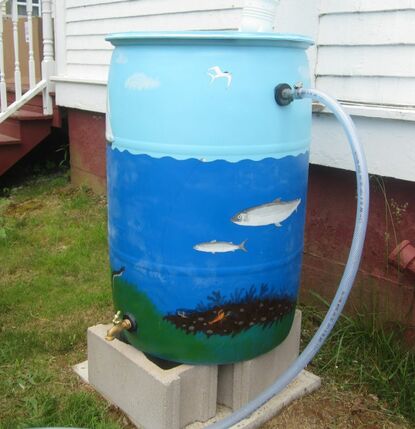 Our rain barrel at the Coastal Action office