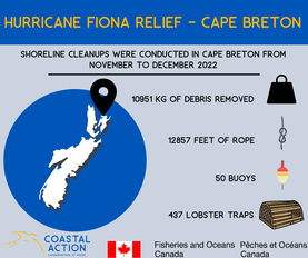 Infographic showing the types of debris retrieved from the shores of Cape Breton after Hurricane Fiona