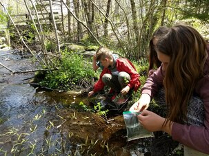 Students releasing their fish in a local stream